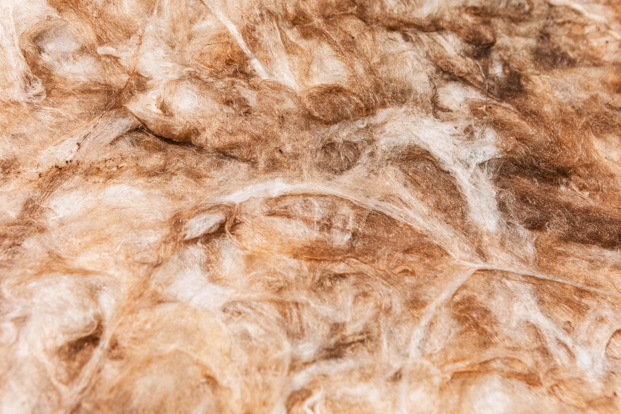 Close-up of insulation material texture